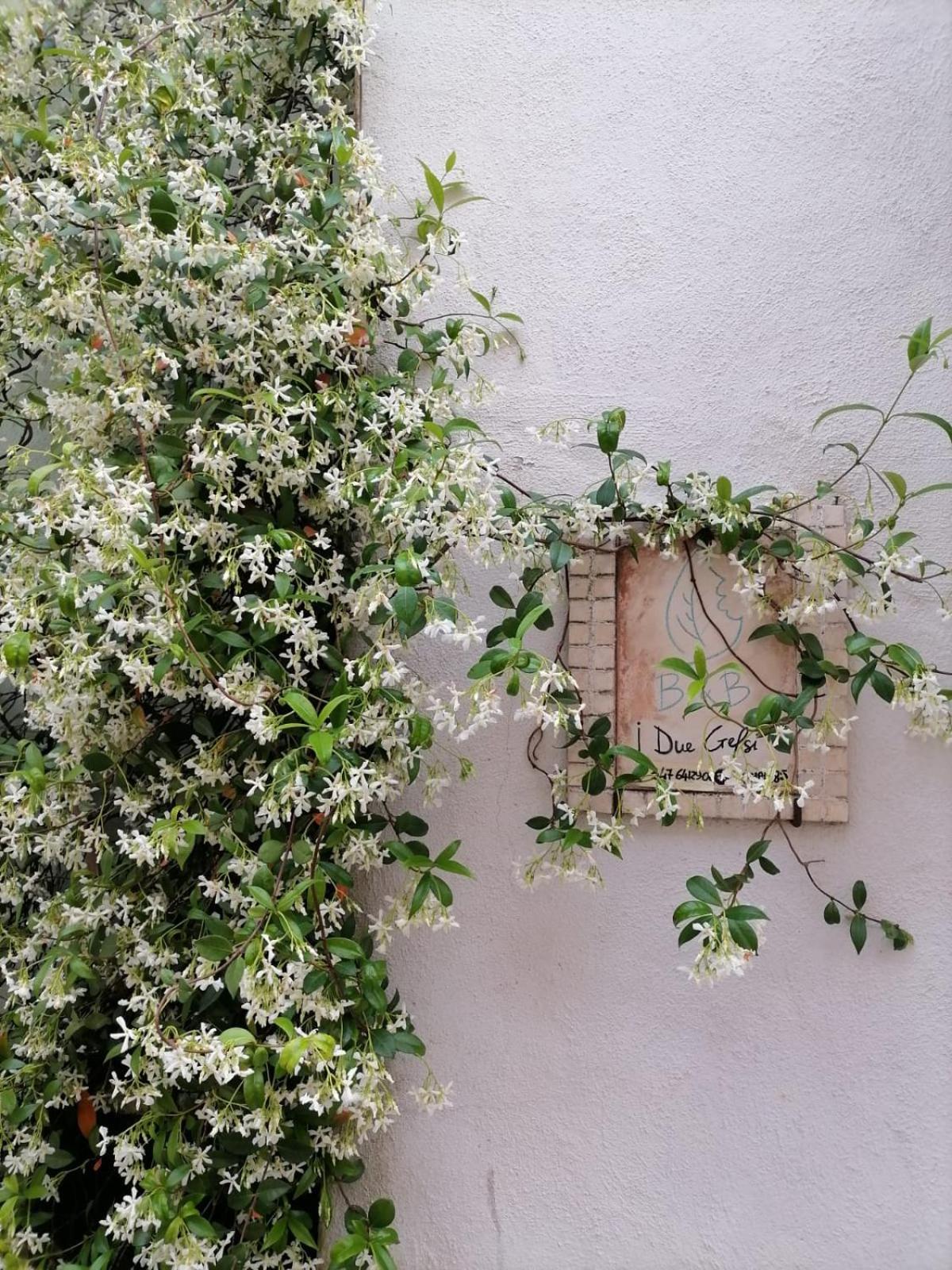 Monte Libretti B&B I Due Gelsi מראה חיצוני תמונה